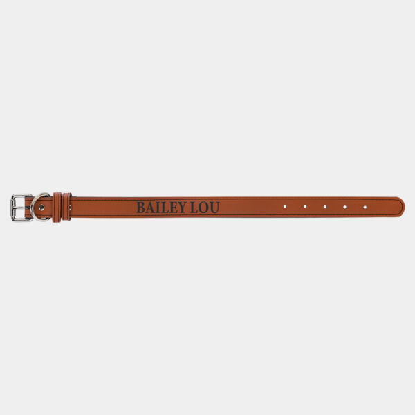 Small 15" x 3/4" Laserable Leatherette Dog Collar Thumbnail