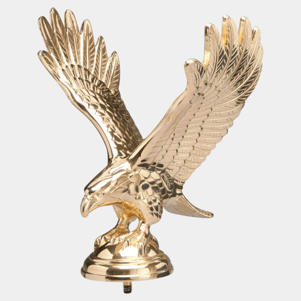 7 1/4" Brass Plated Large Eagle with Stud Thumbnail