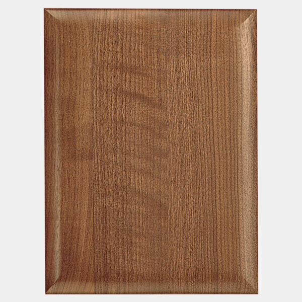 8" X 10 1/2" Airflyte Plaque Thumbnail